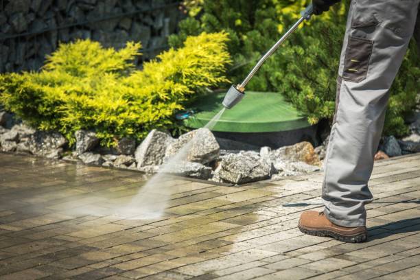 Best Sidewalk and Walkway Cleaning  in Mckinley, PA
